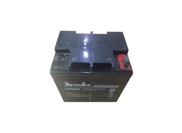 Battery 12V 24Ah | B48