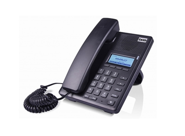 D30 VoIP Phone HD Voice 2 Lines | P45