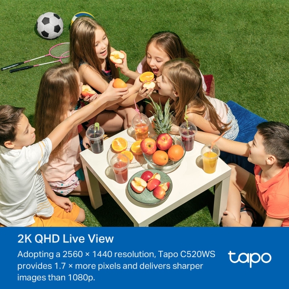 TP-Link Tapo C520WS Outdoor Pan/Tilt Security Wi-Fi Camera | T32 - Image 2
